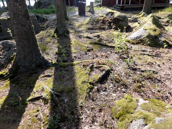 Image 69
