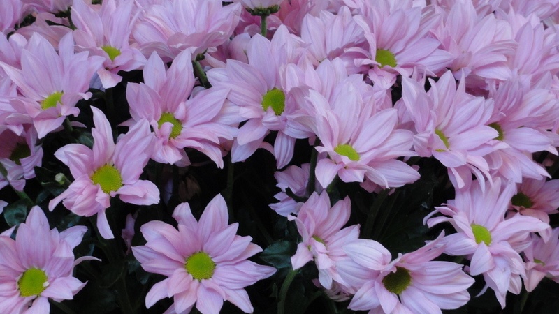 Image 108
