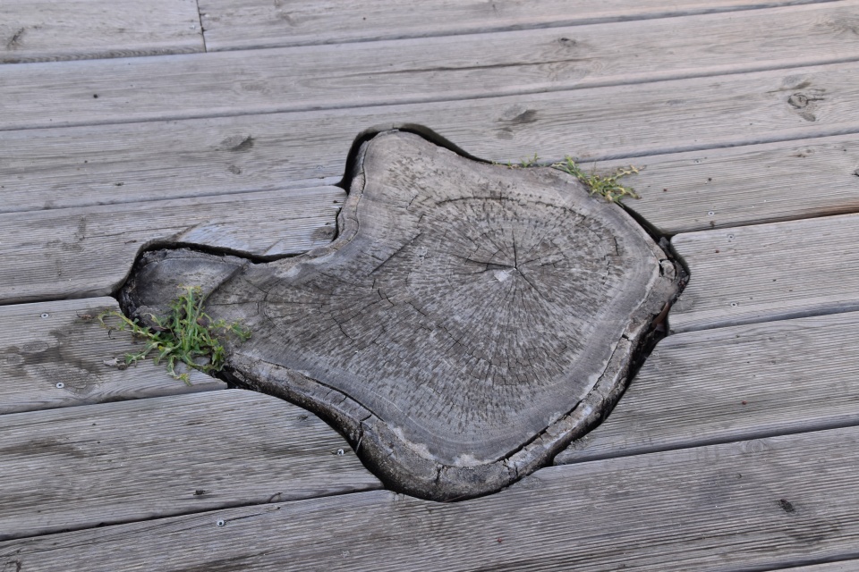 Image 71
