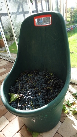 Image 14