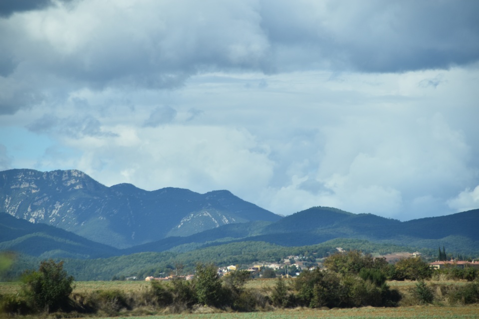 Image 13