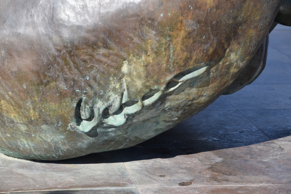 Image 58