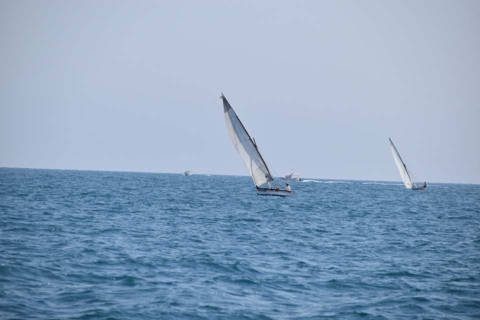 Image 14
