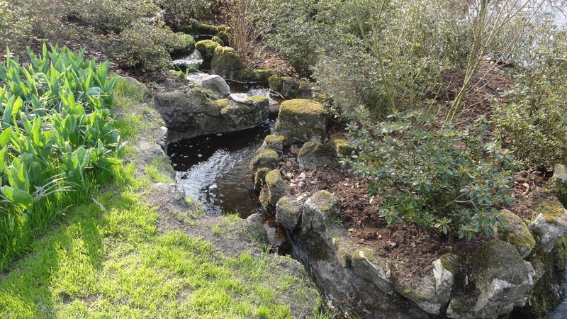 Image 155