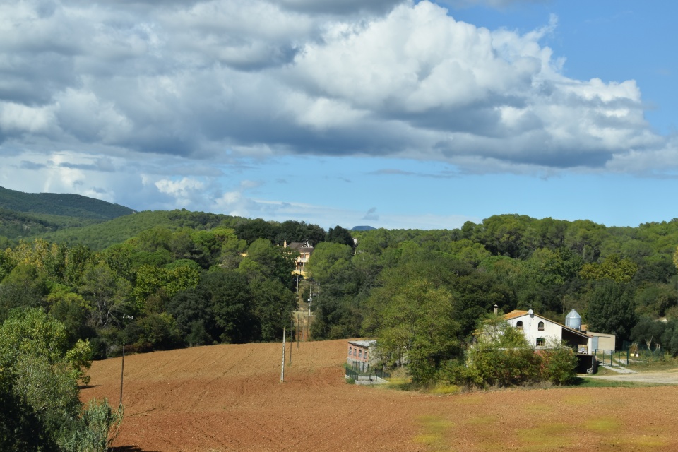 Image 14