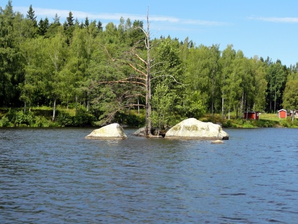 Image 39