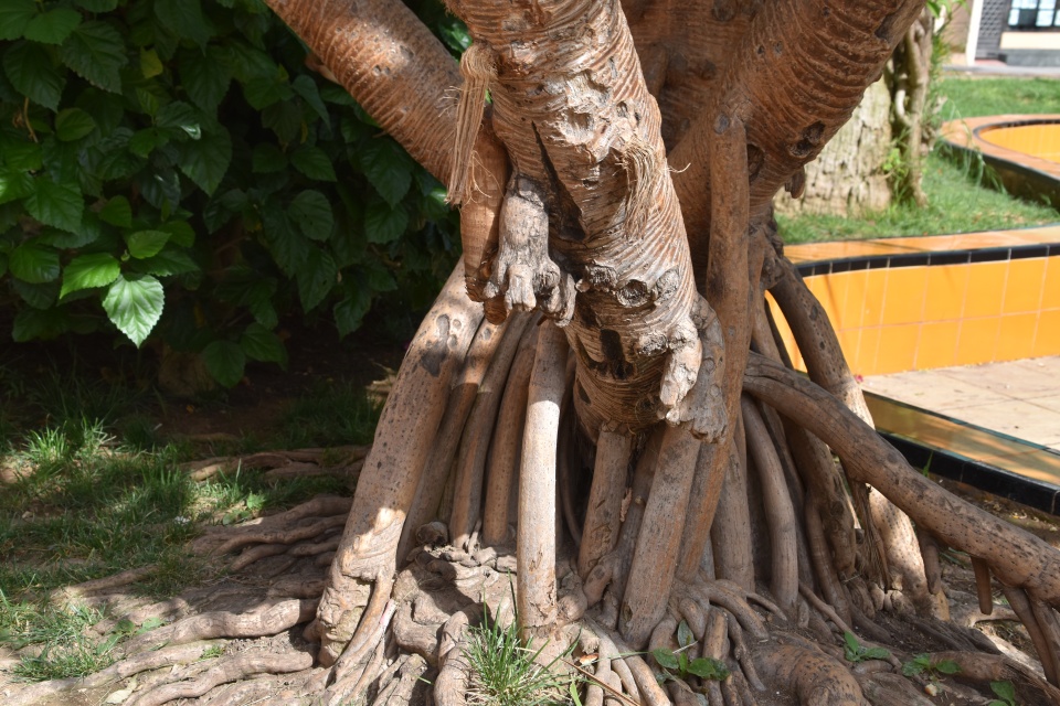 Image 12