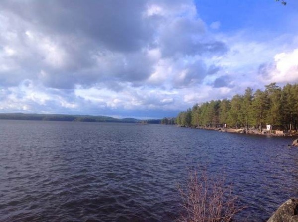 Image 80