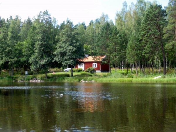 Image 49