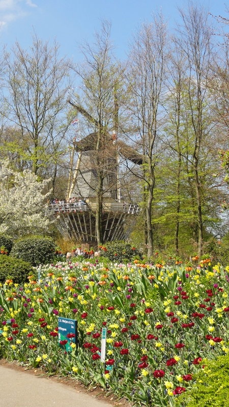 Image 20